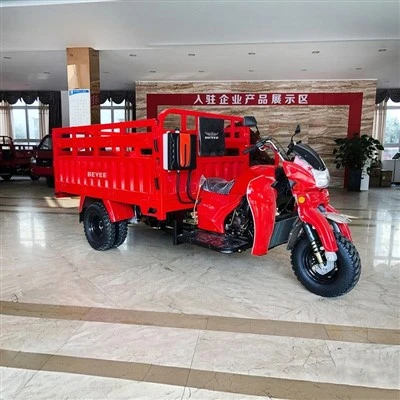 300cc Cargo-Flachbett-Dreirad